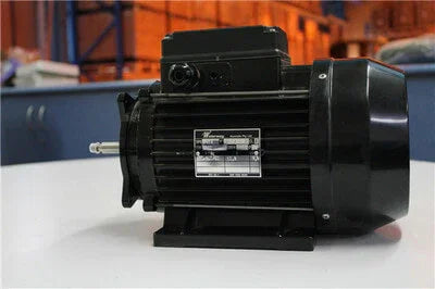 0.2kw 1/2 inch shaft 48F electric motor for Waterway/Aqua-Flo's pump ranges - Hankemotor - AU