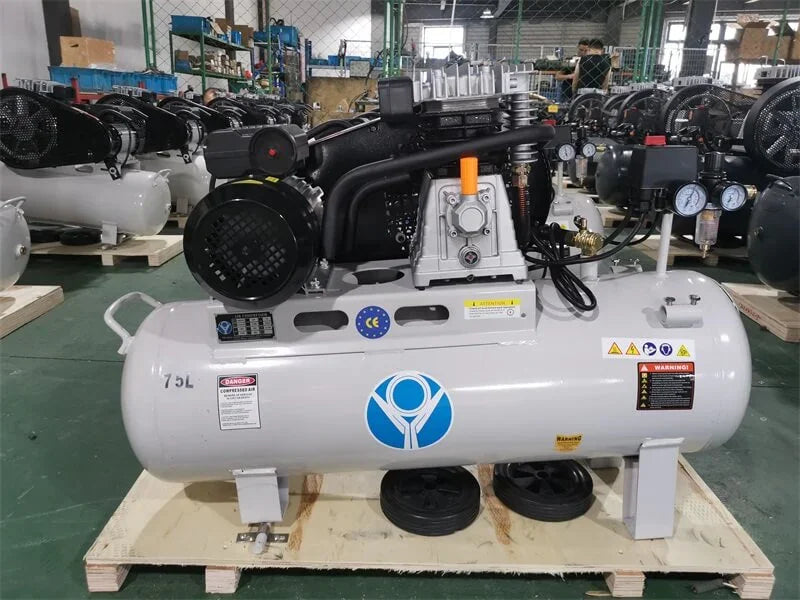 11CFM 314L/MIN 75L TANK SINGLE 8BAR 240V 1.5KW/2HP 115PSI PISTON AIR COMPRESSOR - Hankemotor - AU